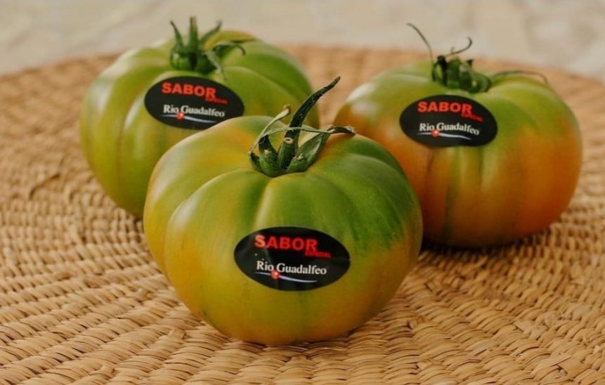 4 Tomate RAF