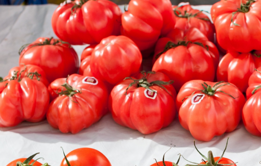 Tomate-Rosa Tomate-Rosa
